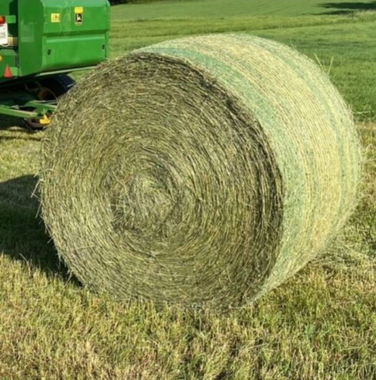 Eifel-Heu Rundballen