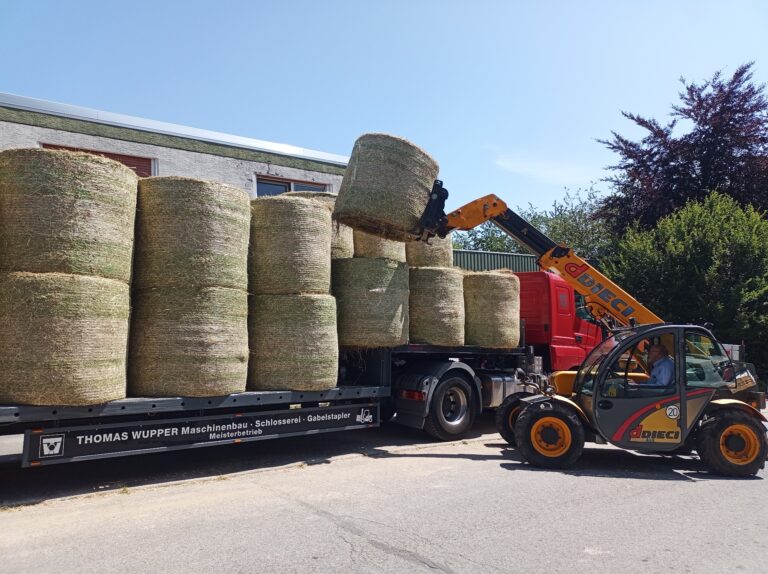 Im näheren Umkreis liefern wir mit unserem Teleskopstapler die Rundballen direkt zu Ihrem Futterplatz